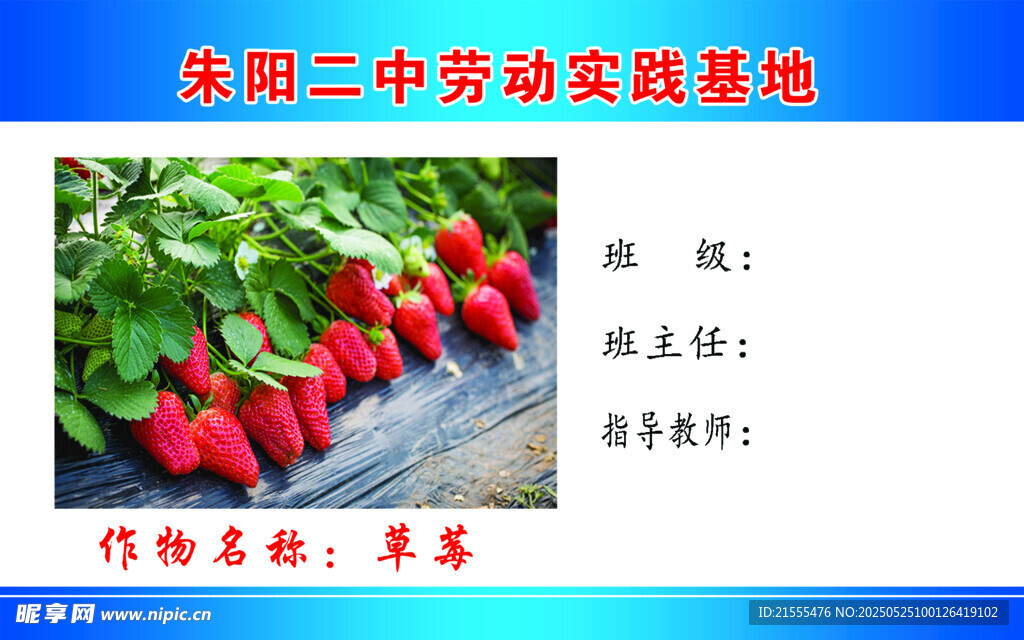 草莓