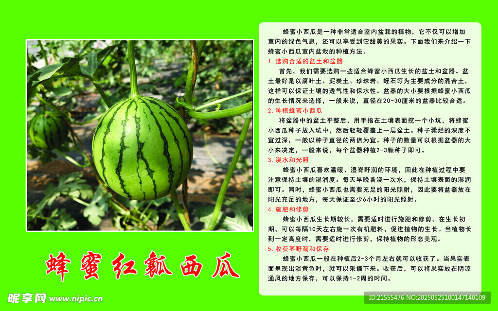 吊瓜