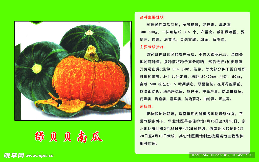 蔬菜簡介