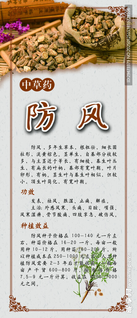 中藥材展板 防風