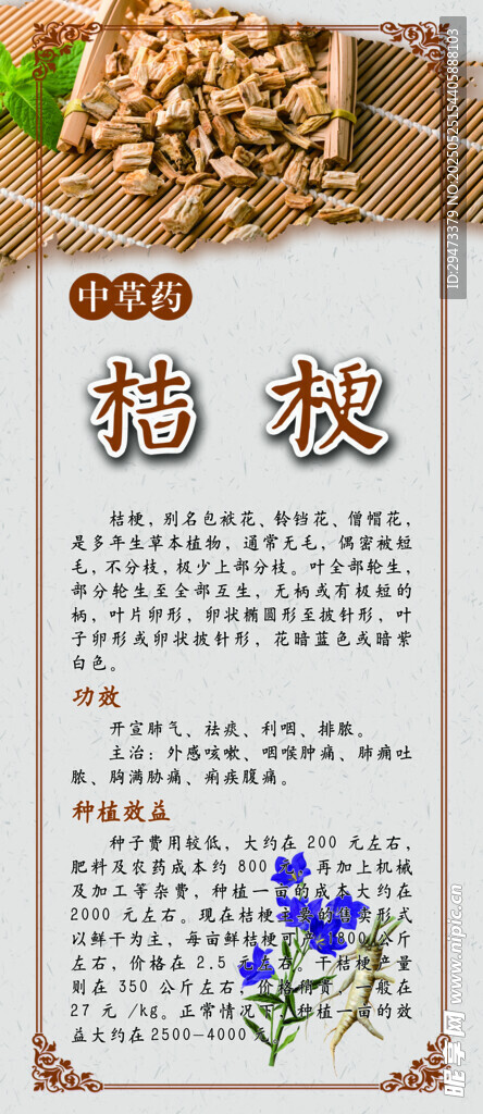 桔梗 中藥材展板