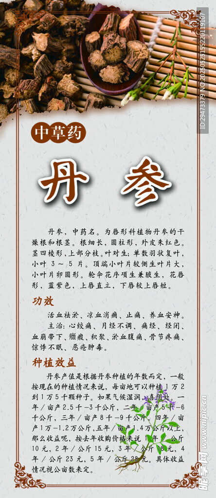 中藥材展板 丹參