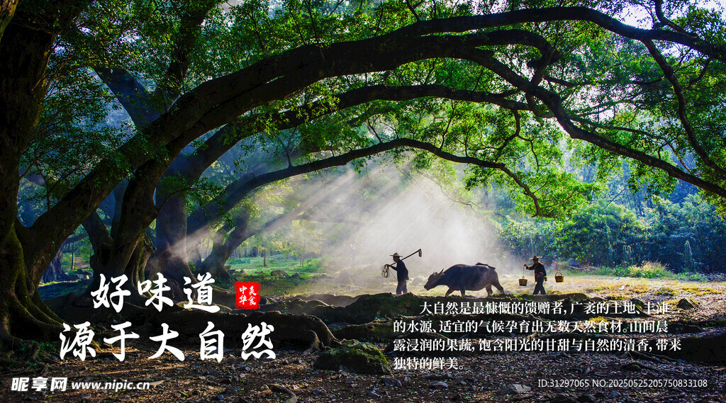漫步林間享受自然時光