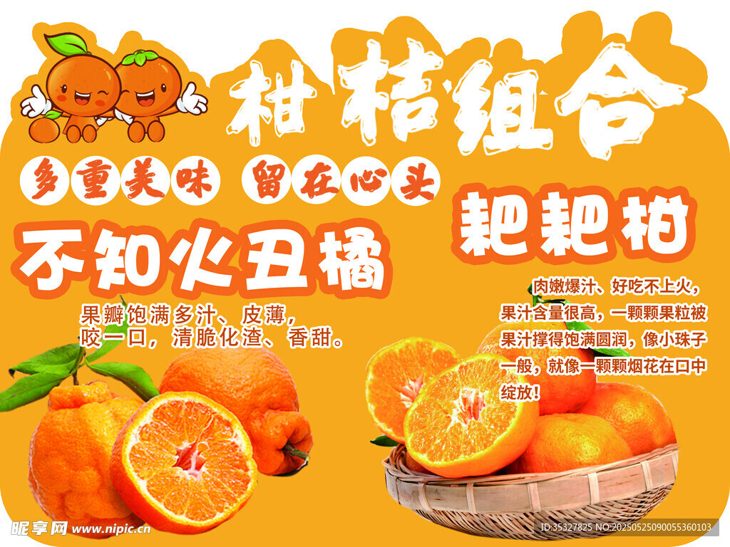 柑桔組合多樣美味水果