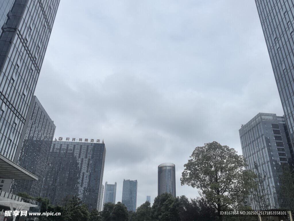 城市高樓與樹木景觀