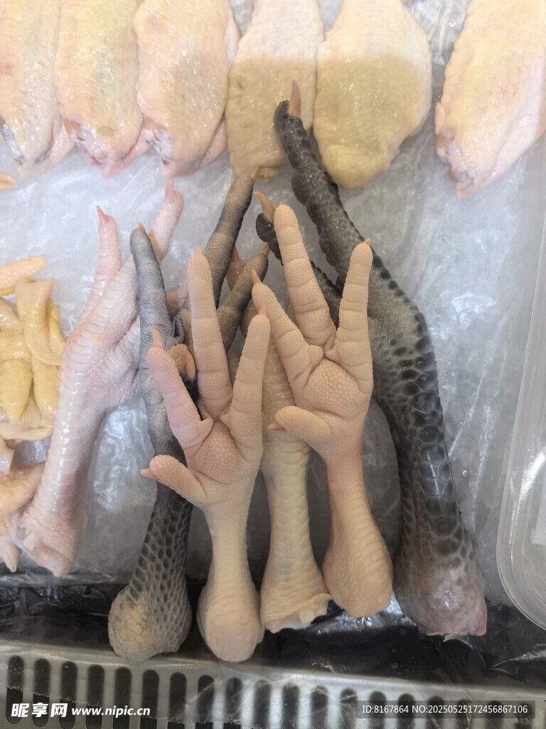 冷凍海鮮與雞爪陳列展示