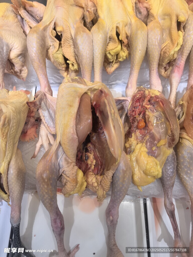 雞肉
