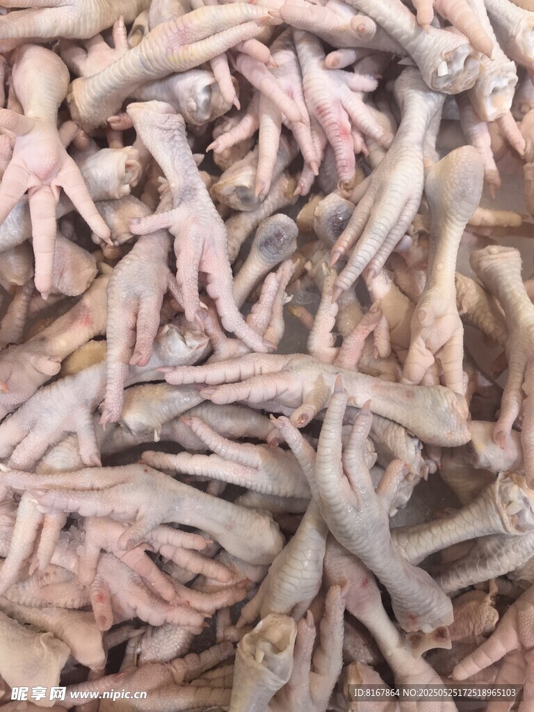 新鮮雞爪食材特寫