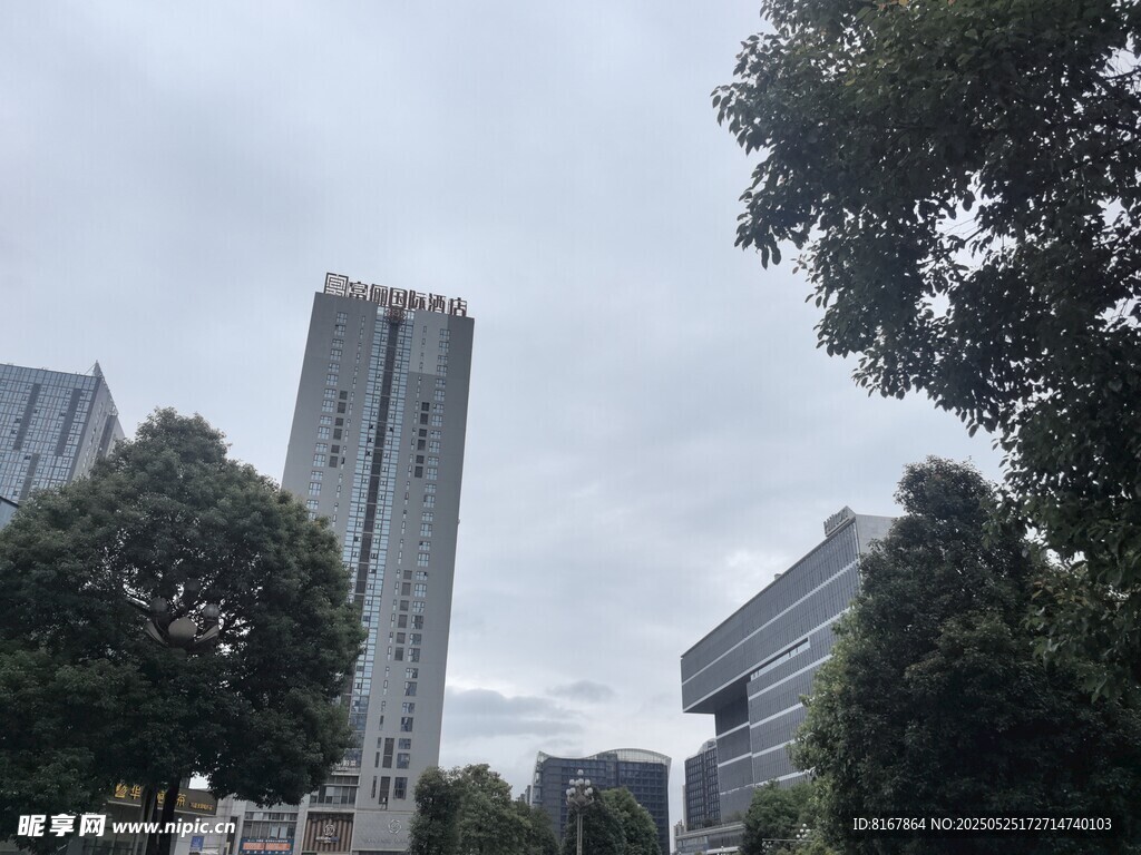城市高樓與綠樹景觀