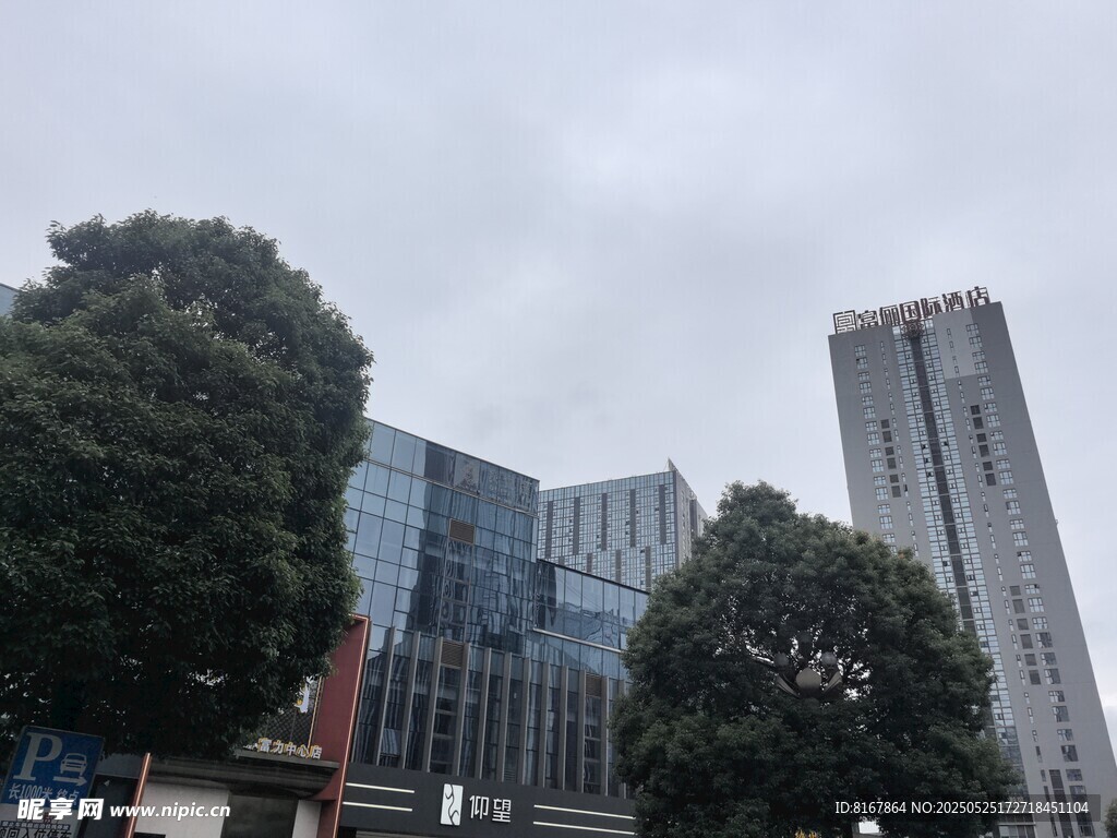 城市中的高樓與綠樹景觀