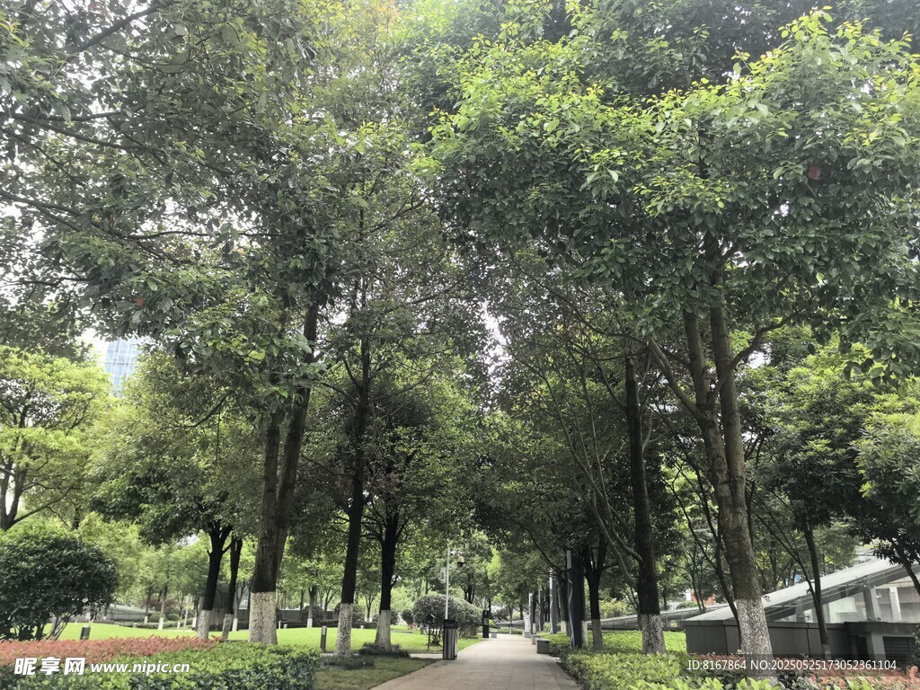 林間公園景致