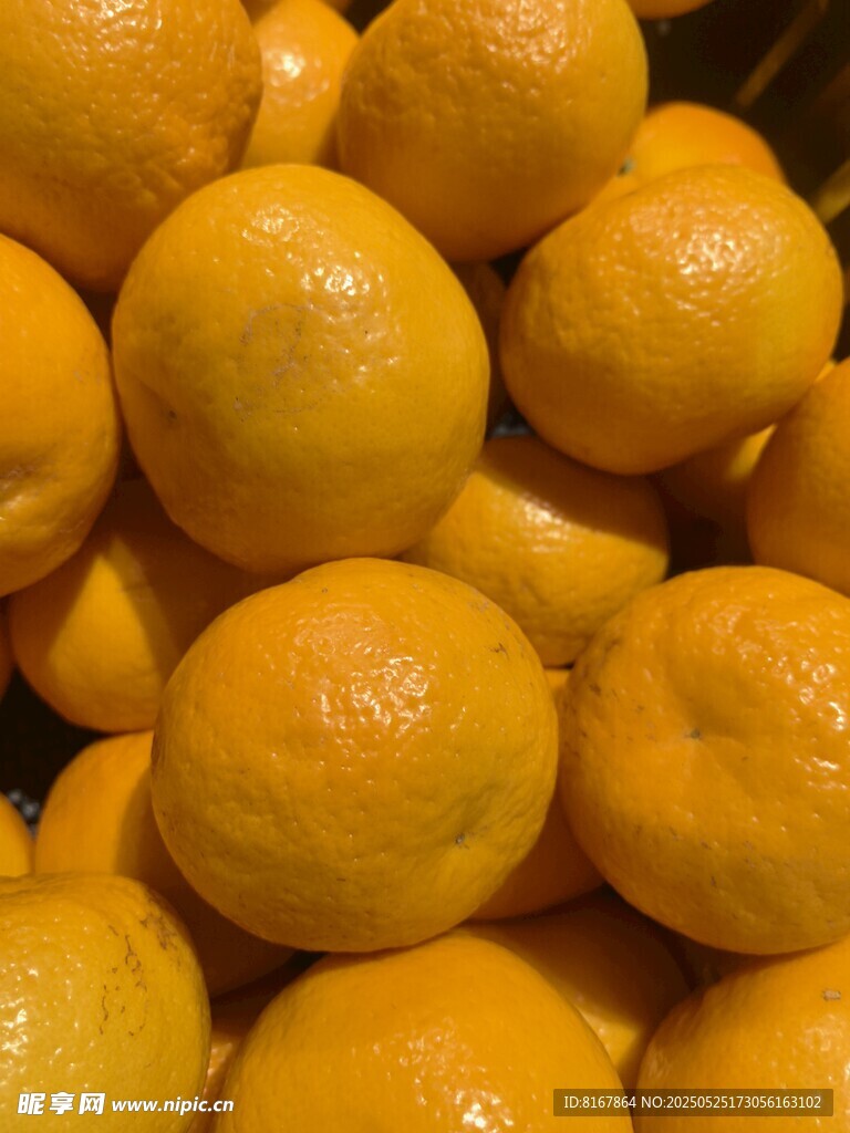 一堆新鮮飽滿的橙子