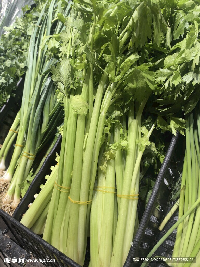 新鮮芹菜待售