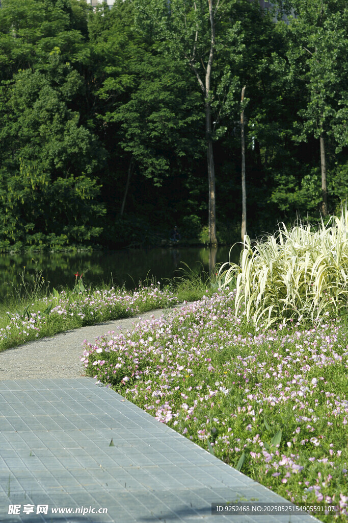 月見草公園