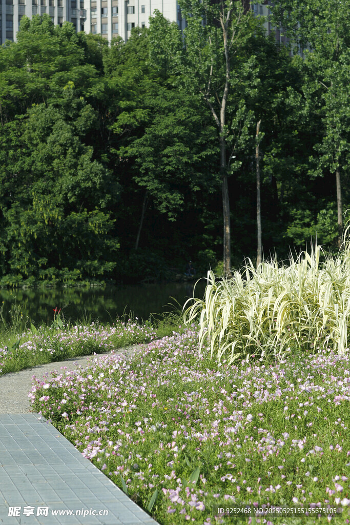 月見草公園 