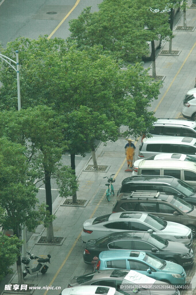 路邊綠樹成蔭的停車場景