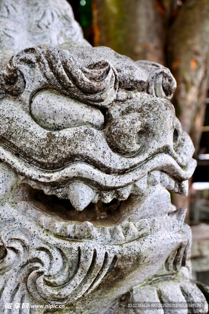 石獅子頭部特寫