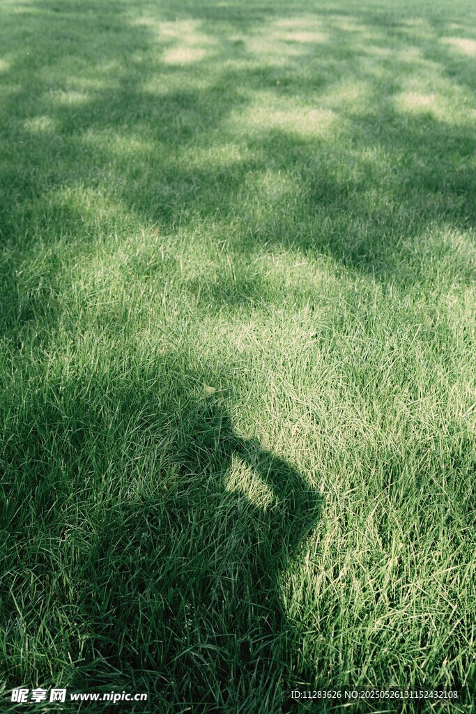 草地上的人影剪影