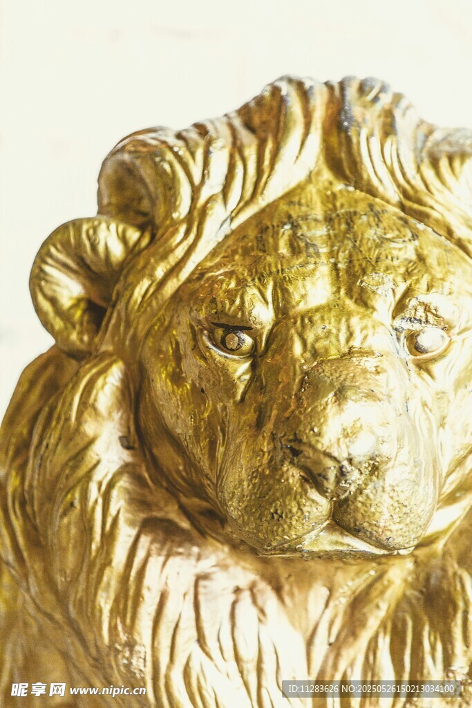 金色獅子雕塑頭部特寫