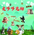 愛多多寵物 萌寵歡樂集合