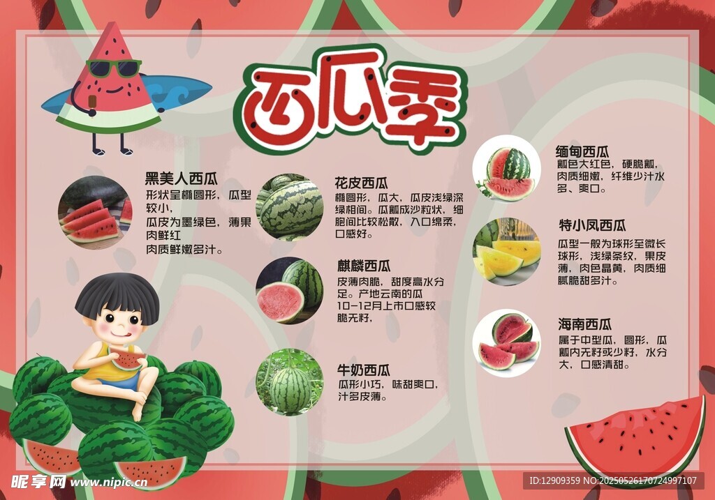 西瓜季美食與知識介紹