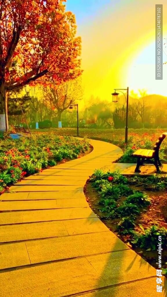 夕陽下的公園小徑與長椅