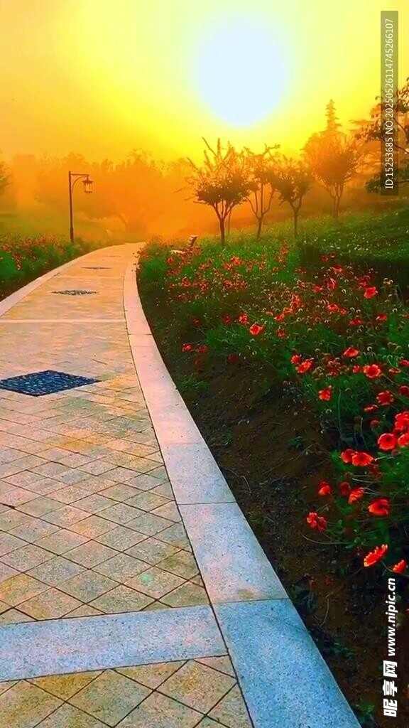 夕陽下的花卉小徑