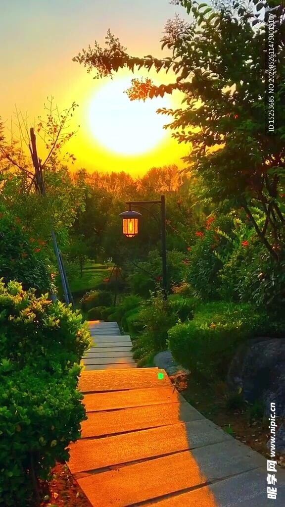 夕陽下的花園小徑美景