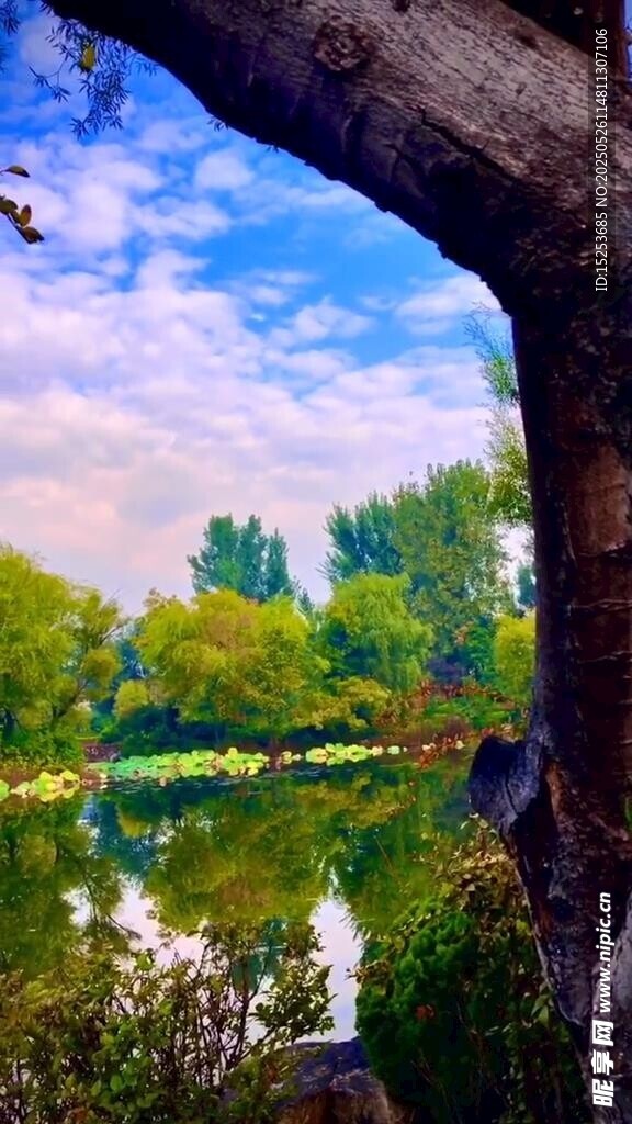 湖畔美景