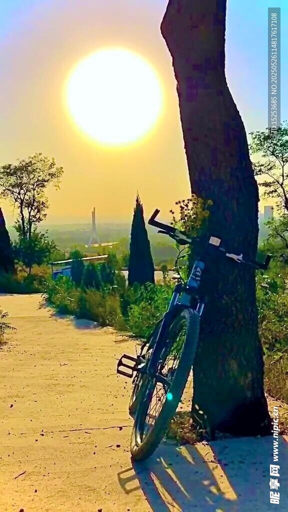 夕陽下的自行車與曠野美景