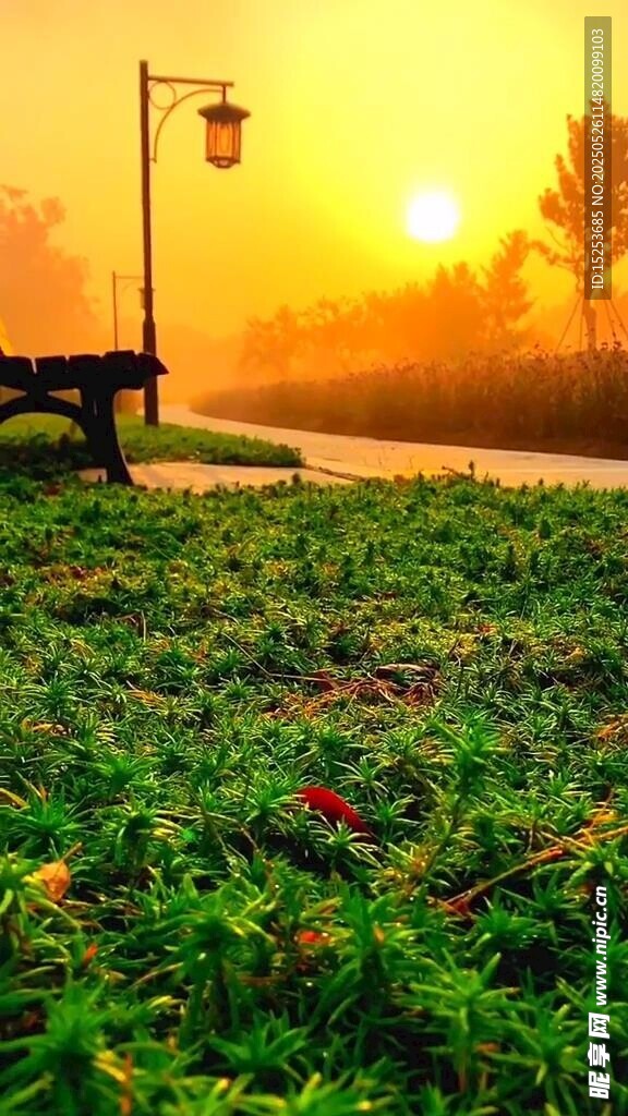 夕陽(yáng)下的草地與路燈美景