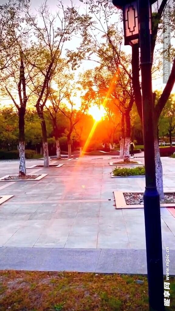 夕陽下的公園靜謐小道
