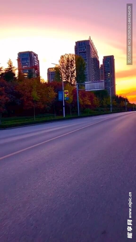 夕陽下的城市道路景觀