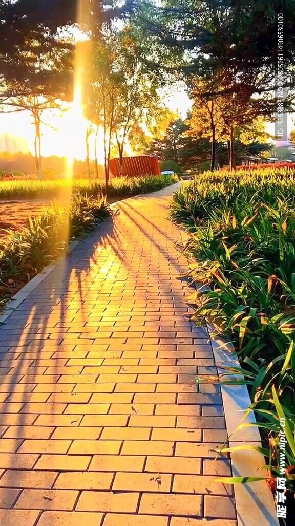 夕陽下的磚石小徑美景