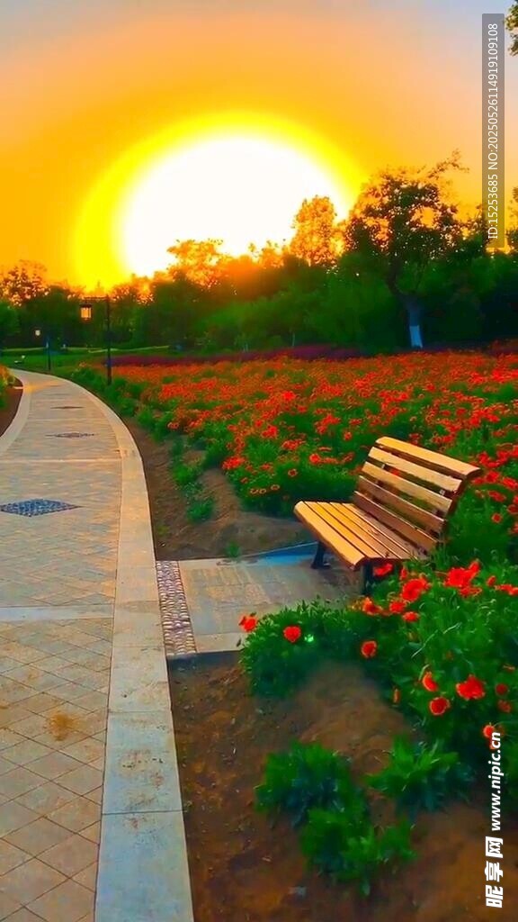 夕陽下的長椅與絢爛花田