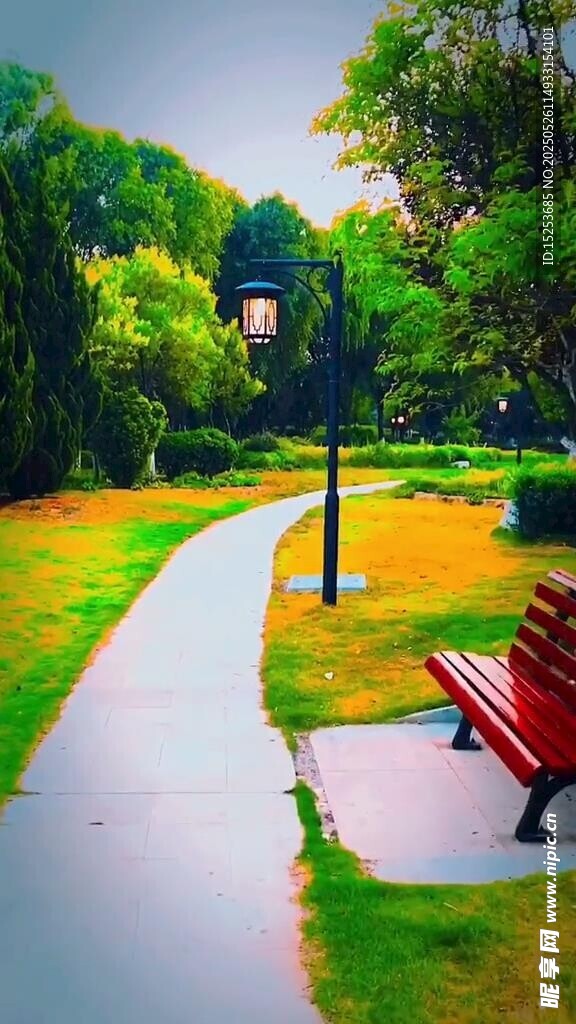 雨后公園小徑與長椅美景
