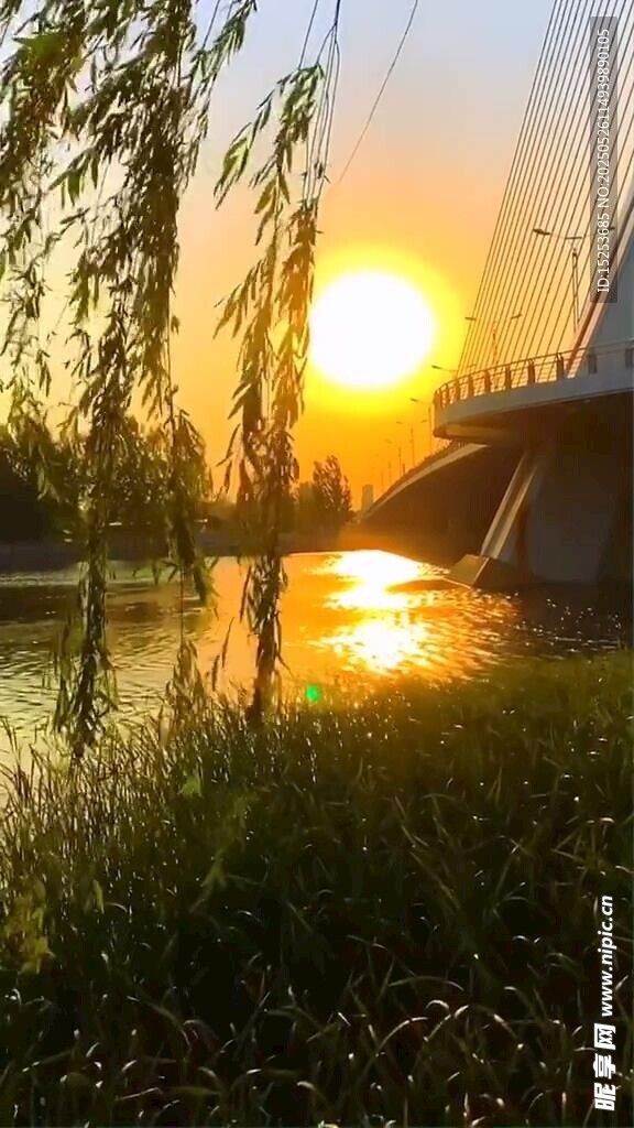 夕陽下河畔橋梁美景