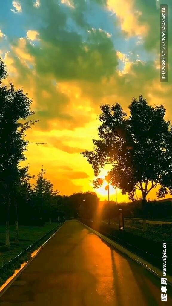 夕陽下的林間道路美景