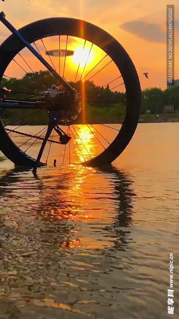 夕陽下自行車輪映于水面
