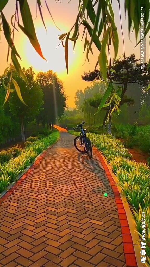 夕陽下的紅磚小徑美景