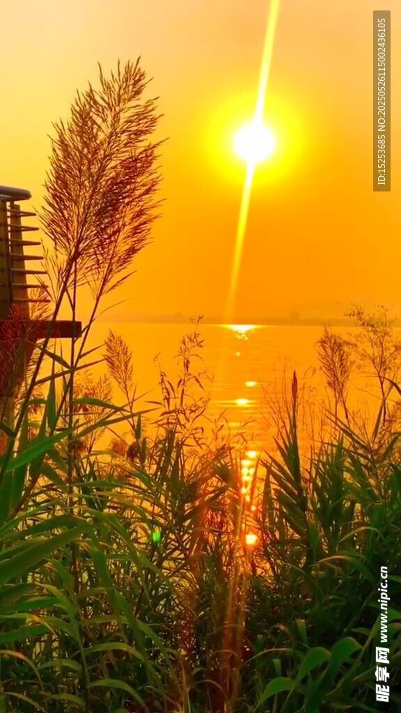 夕陽下的蘆葦與瞭望塔