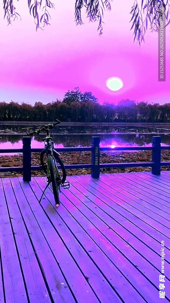 夢幻湖畔月夜木質(zhì)棧道景