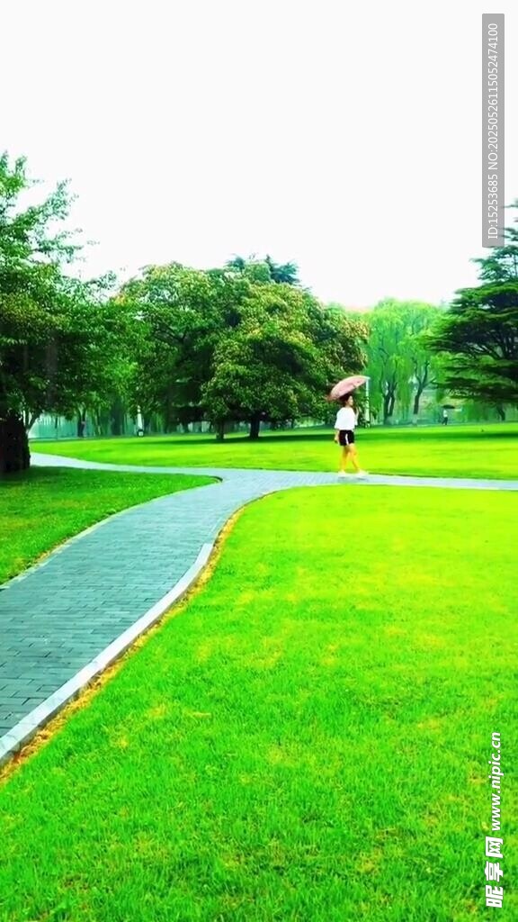 公園中的綠色步道與草坪