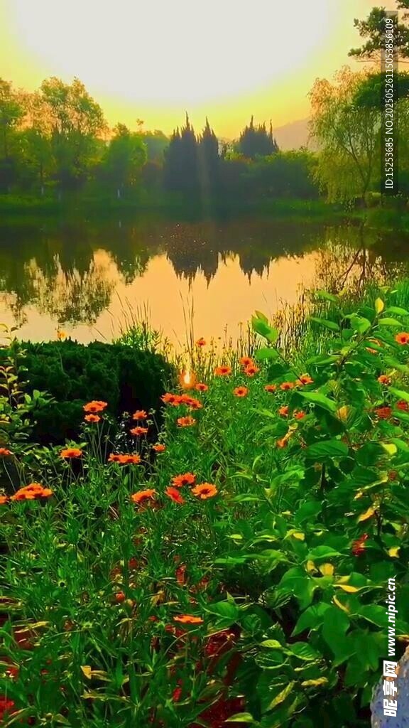湖畔晨景 繁花綠植映日光