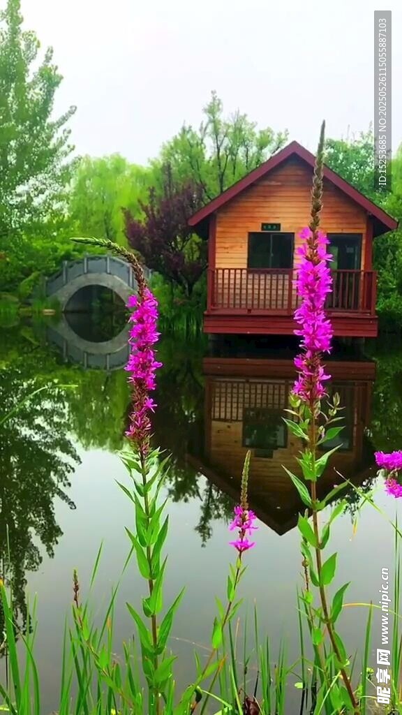 湖畔木屋旁的爛漫花卉