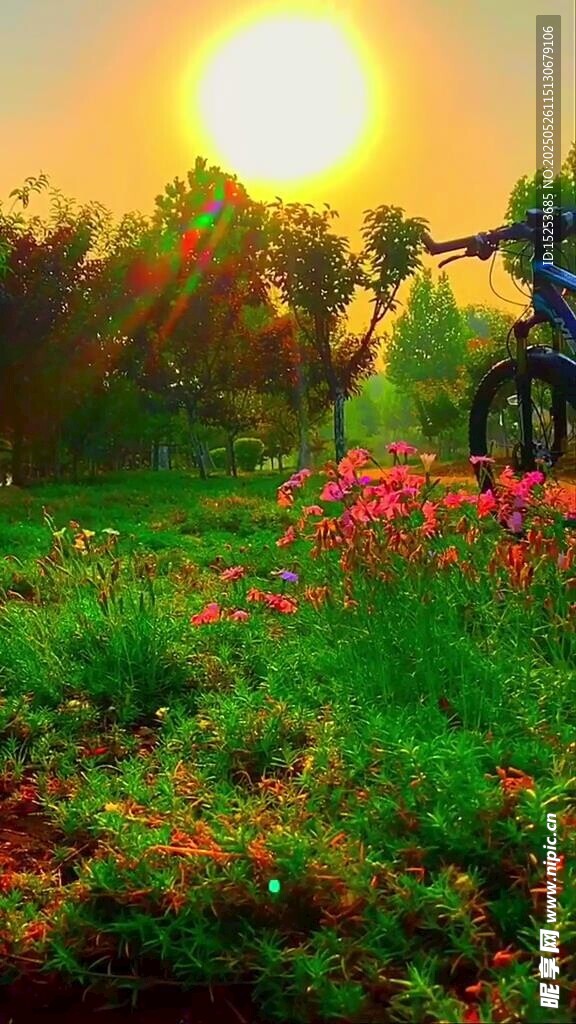 夕陽下花叢中的展翅之人