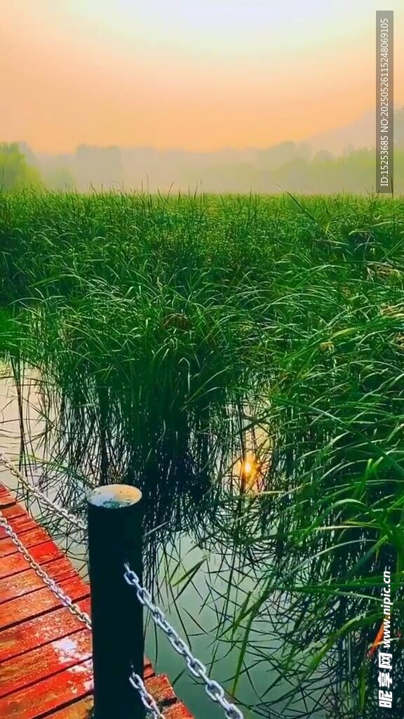 夕陽下的濕地棧道景觀