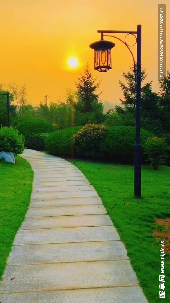 夕陽下的林間小徑