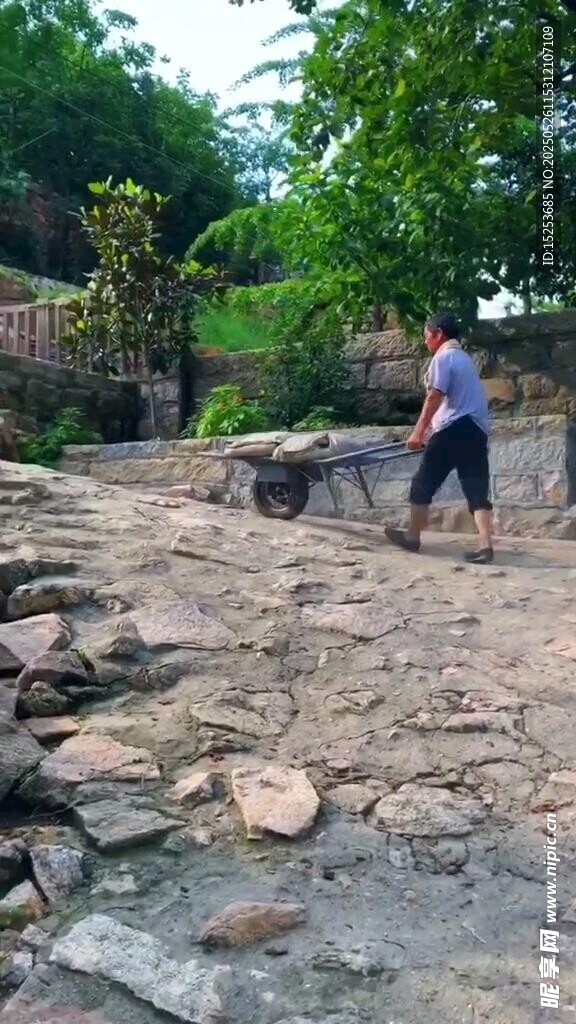男子戶外搬運木材場景