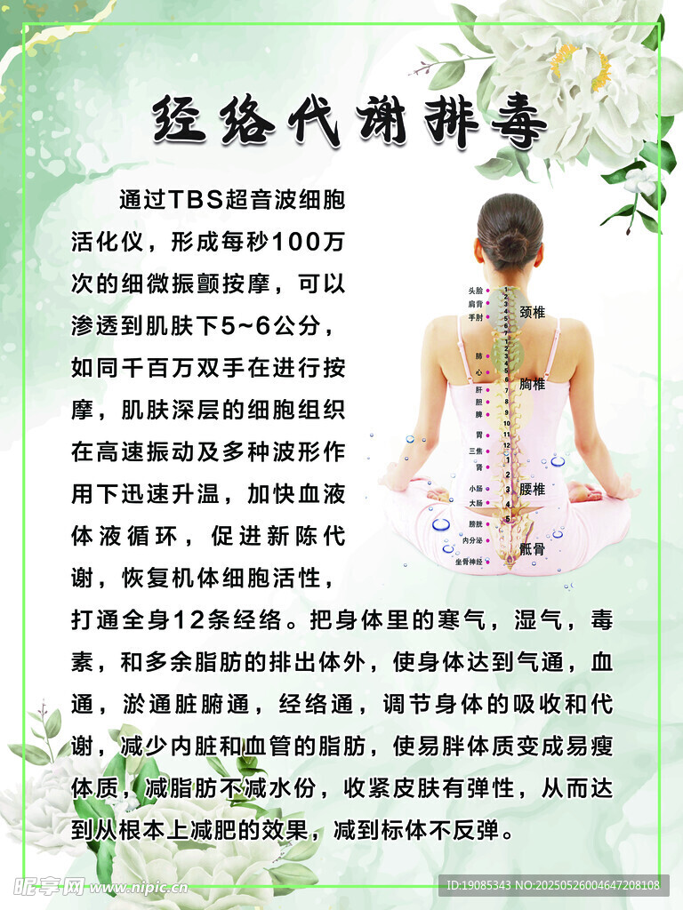 經絡代謝排毒